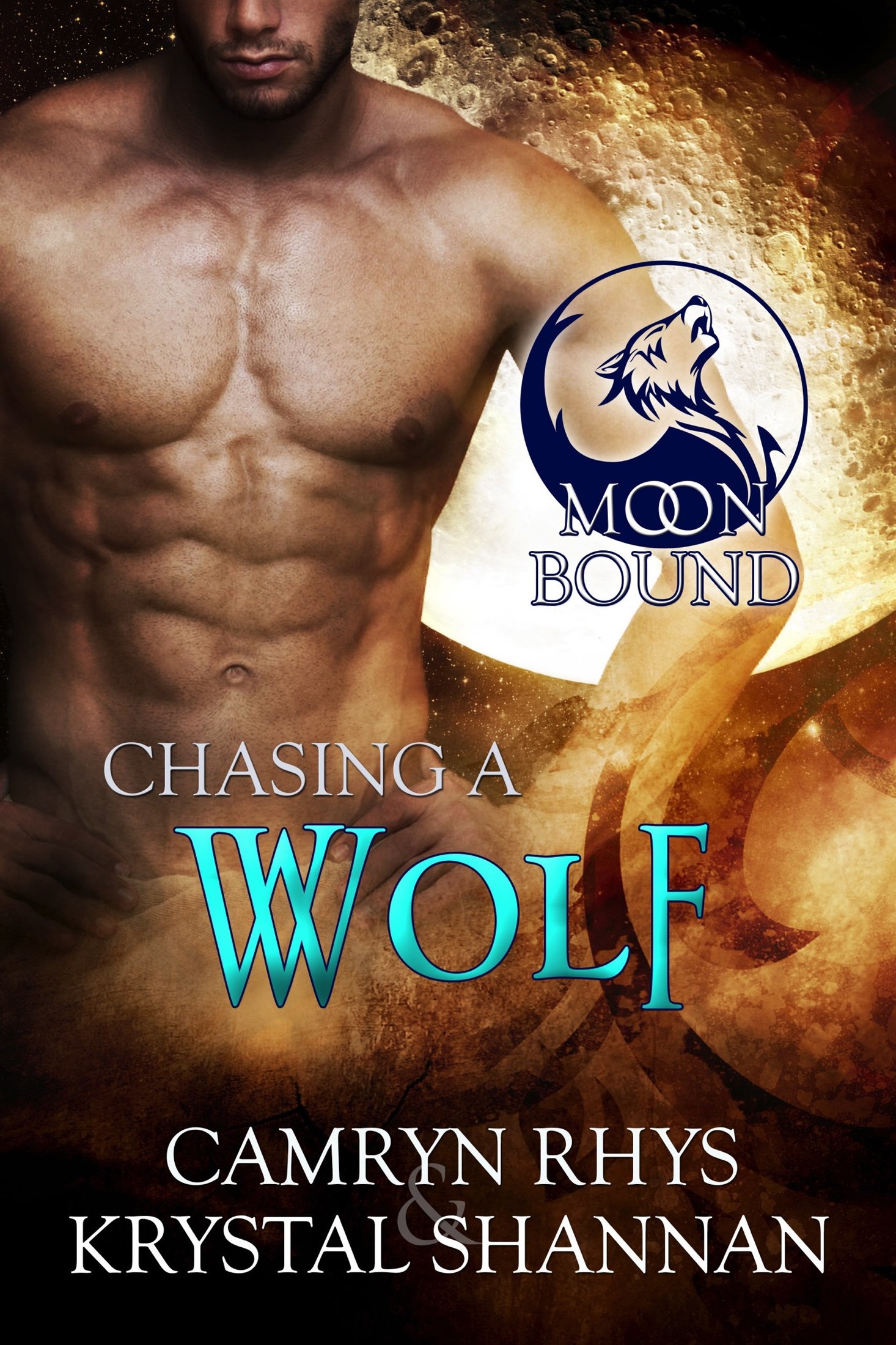 Chasing A Wolf by Krystal Shannan & Camryn Rhys