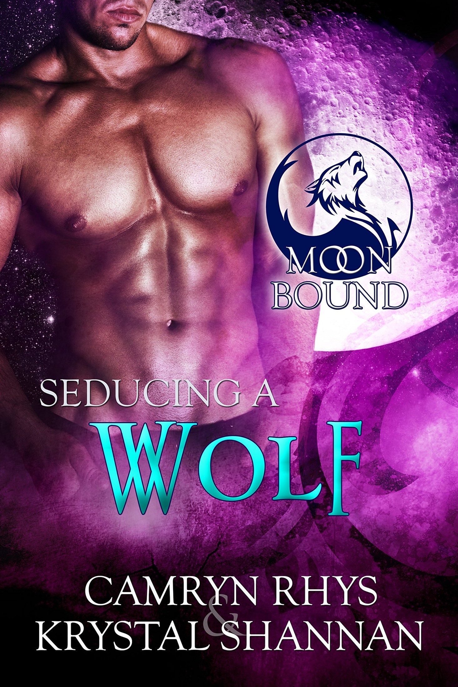 Seducing a Wolf by Krystal Shannan & Camryn Rhys