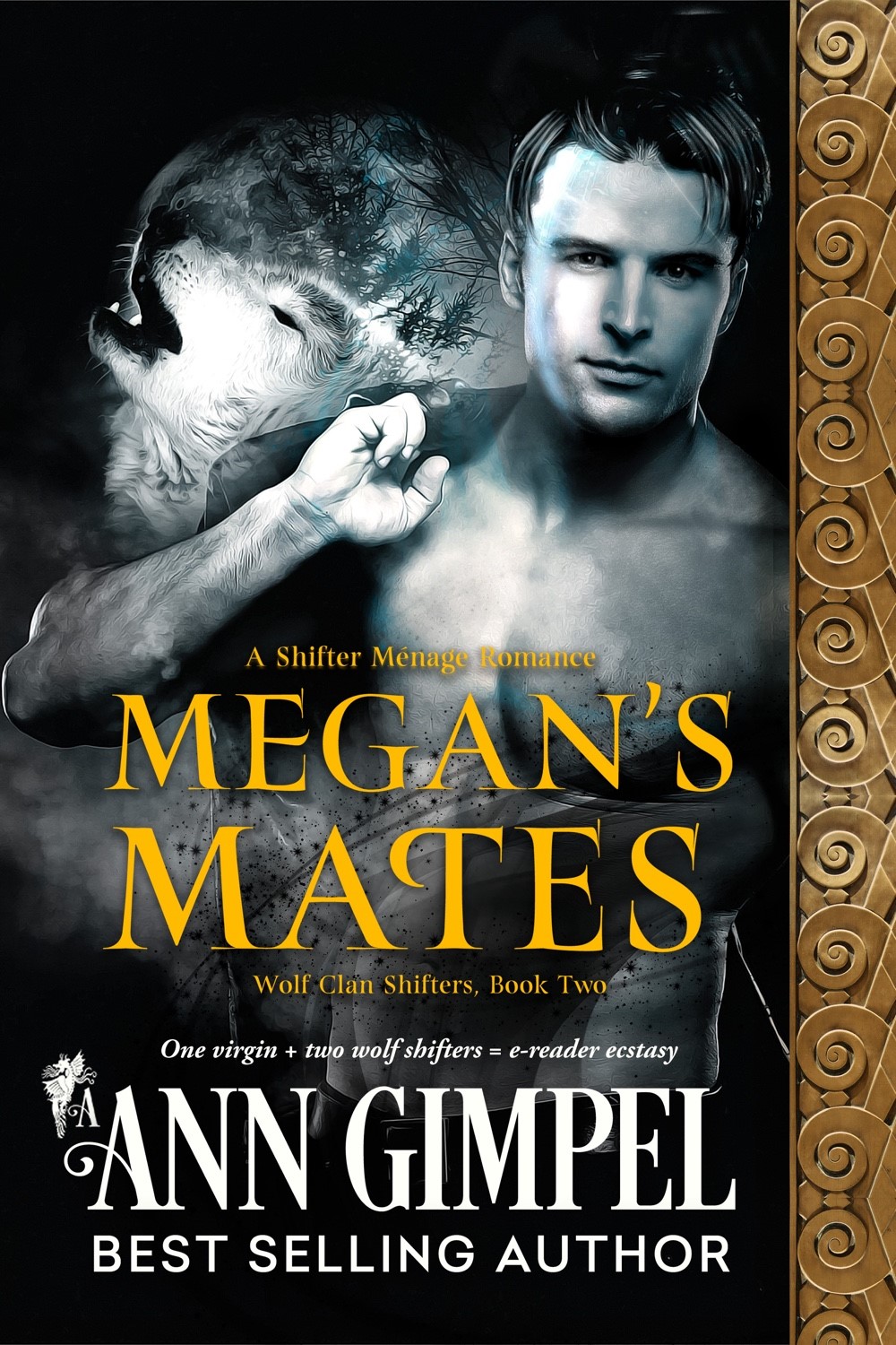 Megan’s Mates by Ann Gimpel