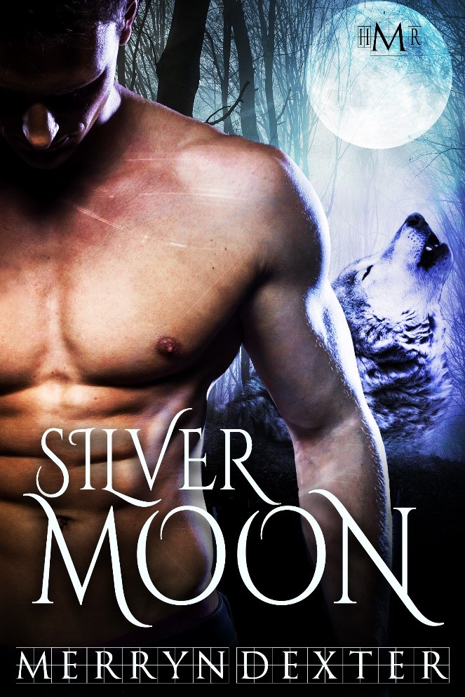 Silver Moon by Merryn Dexter
