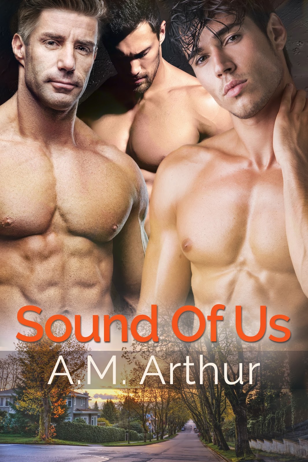 Sound of Us by A. M. Arthur width=