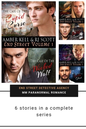 End Street Detective Agency by RJ Scott and Amber Kell width=