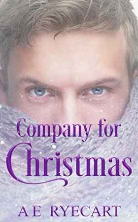 Company for Christmas by A E Ryecart