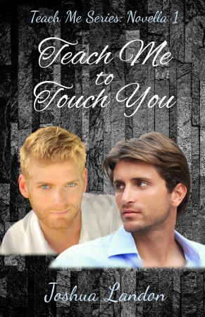 Teach Me to Touch You by Joshua Landon