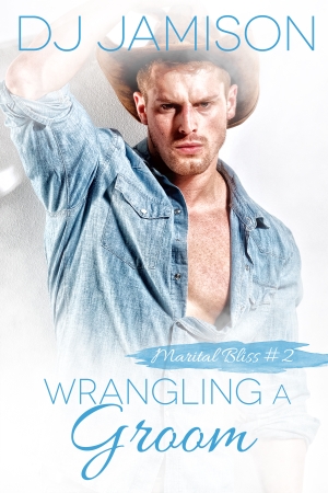 Wrangling a Groom by DJ Jamison
