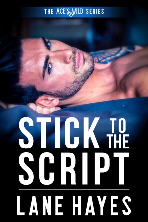 Stick to the Script by Lane Hayes