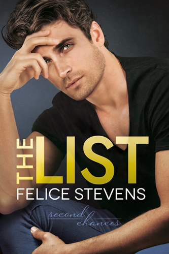 The List by Felice Stevens