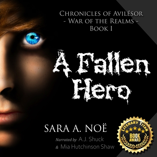 A Fallen Hero by Sara A. Noe