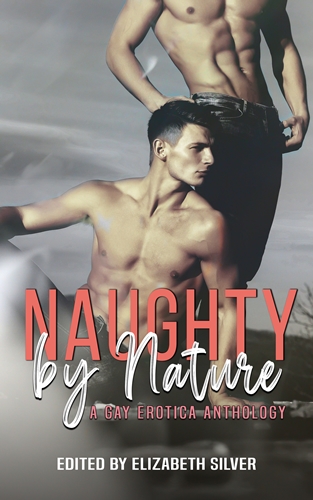 Naughty by Nature: A Gay Erotica Anthology by Multiple Authors