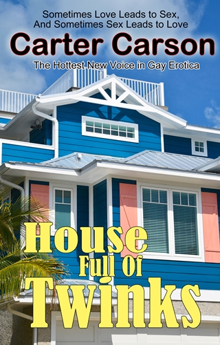 House Full of Twinks by Carter Carson