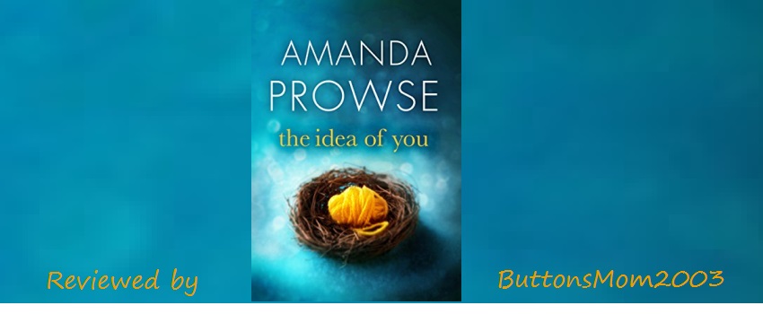 book review the idea of you